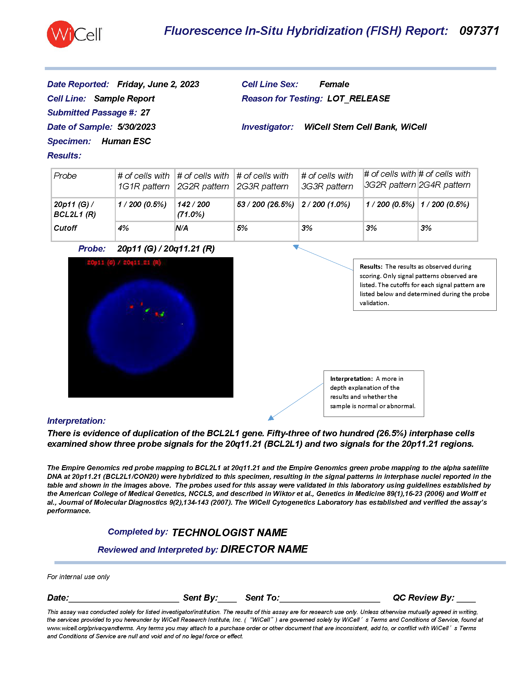 Sample FISH Report - WiCell